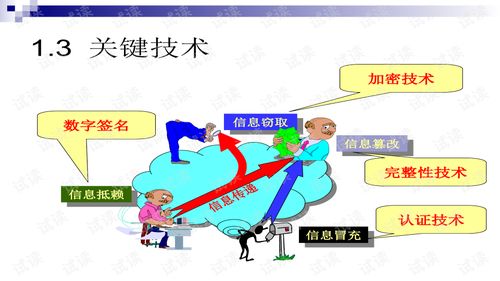 網(wǎng)絡(luò)攻防技術(shù)與計算機軟件技術(shù)服務(wù) 數(shù)字時代的安全屏障